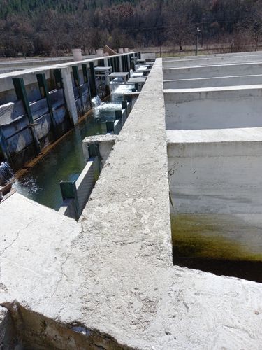 Main design project for fish farm